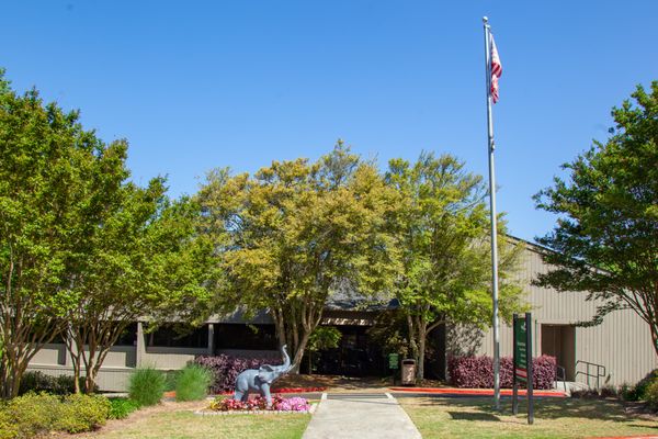 Front entrance of Ridgeview Institute, with trees, walkway, and flagpole.